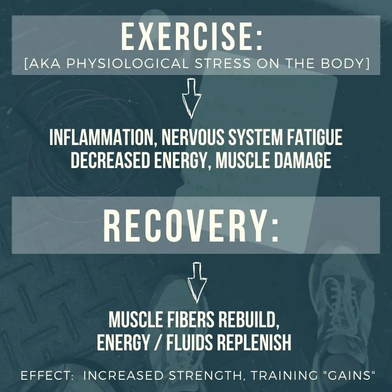 Exercise (aka physiological stress on the body) leads to inflammation, nervous syestem fatigue, decreased energy and muscle damage. Recovery leads to muscle fibers rebuild and energy / fluids replenished. The effect is increased strength, and training "gains"